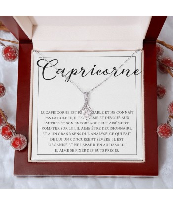 Cadeau Pour Femme, Signe Astrologique, Collier Astro Capricorne, Cadeau Pour Copine Petite Amie Epouse Amie Soeur Meilleure Amie Mère Fille l'achat 