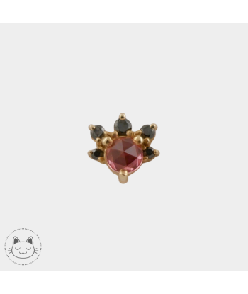 BVLA - Anaya Padparadscha - Saphir et Diamants noirs Véritable concentré