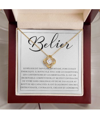 Cadeau Pour Femme, Signe Astrologique, Collier Astro Bélier, Cadeau Pour Copine Petite Amie Epouse Amie Soeur Meilleure Amie Mère Fille prix